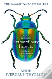 Capa do artigo Extraordinary Insects