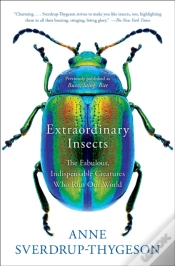 Capa do artigo Extraordinary Insects