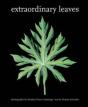 Extraordinary Leaves - Preview