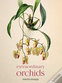 Extraordinary Orchids