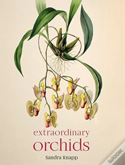 Capa do artigo Extraordinary Orchids