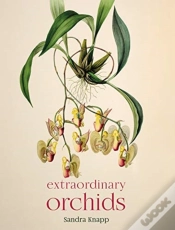Capa do artigo Extraordinary Orchids