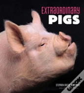 Extraordinary Pigs