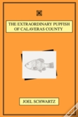 Capa do artigo Extraordinary Pupfish Of Calaveras County