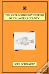 Capa do artigo Extraordinary Pupfish Of Calaveras County