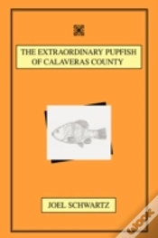 Capa do artigo Extraordinary Pupfish Of Calaveras County