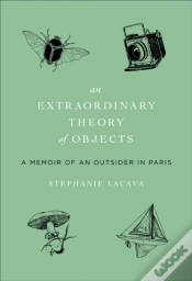 Capa do artigo Extraordinary Theory Of Objects
