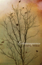 Extravagance - Preview