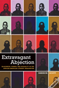 Capa do artigo Extravagant Abjection