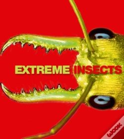 Capa do artigo Extreme Insects