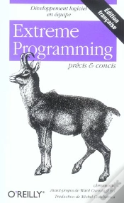 Capa do artigo Extreme Programming