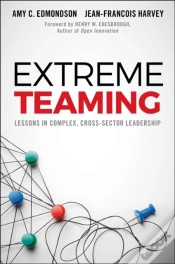 Capa do artigo Extreme Teaming