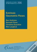 Extrinsic Geometric Flows