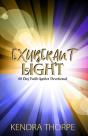 Exuberant Light - Preview
