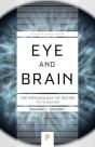Eye And Brain - Preview