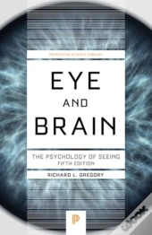Eye And Brain
