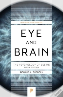 Capa do artigo Eye And Brain