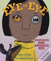 Eye By Eye