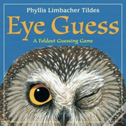 Capa do artigo Eye Guess