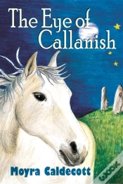 Capa do artigo Eye Of Callanish