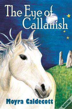 Capa do artigo Eye Of Callanish