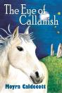 Eye Of Callanish - Preview