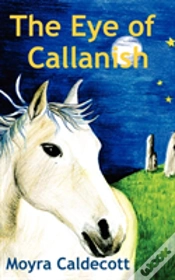 Capa do artigo Eye Of Callanish