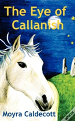 Capa do artigo Eye Of Callanish