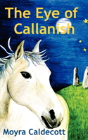 Eye Of Callanish - Preview