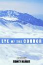 Eye Of The Condor - Preview