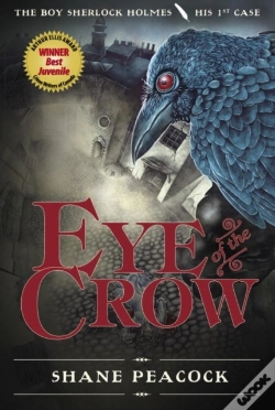 Capa do artigo Eye Of The Crow