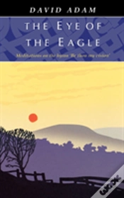 Capa do artigo Eye Of The Eagle