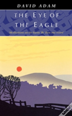 Capa do artigo Eye Of The Eagle