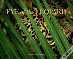 Capa do artigo Eye Of The Leopard