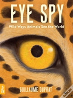 Capa do artigo Eye Spy