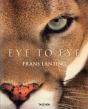 Eye To Eye - Preview