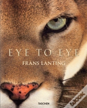 Capa do artigo Eye To Eye