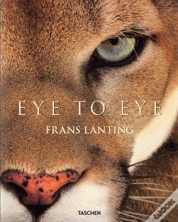 Capa do artigo Eye To Eye
