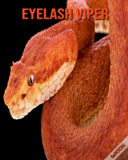 Capa do artigo Eyelash Viper