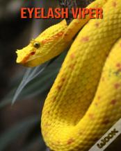 Eyelash Viper