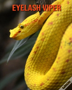 Capa do artigo Eyelash Viper