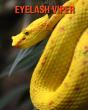 Eyelash Viper - Preview