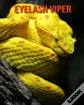 Eyelash Viper