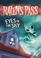 Capa do artigo Eyes In The Sky