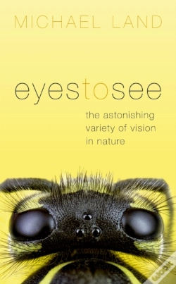 Capa do artigo Eyes To See