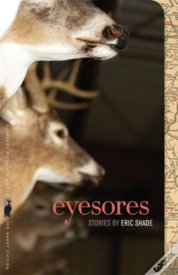 Capa do artigo Eyesores