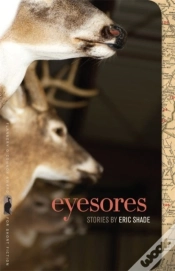 Capa do artigo Eyesores
