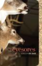 Eyesores - Preview