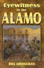 Eyewitness To The Alamo - Preview