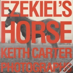Capa do artigo Ezekiel'S Horse